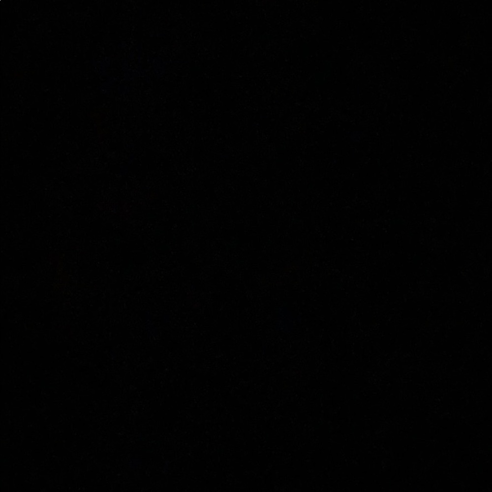 Meet your Posher, Maggie